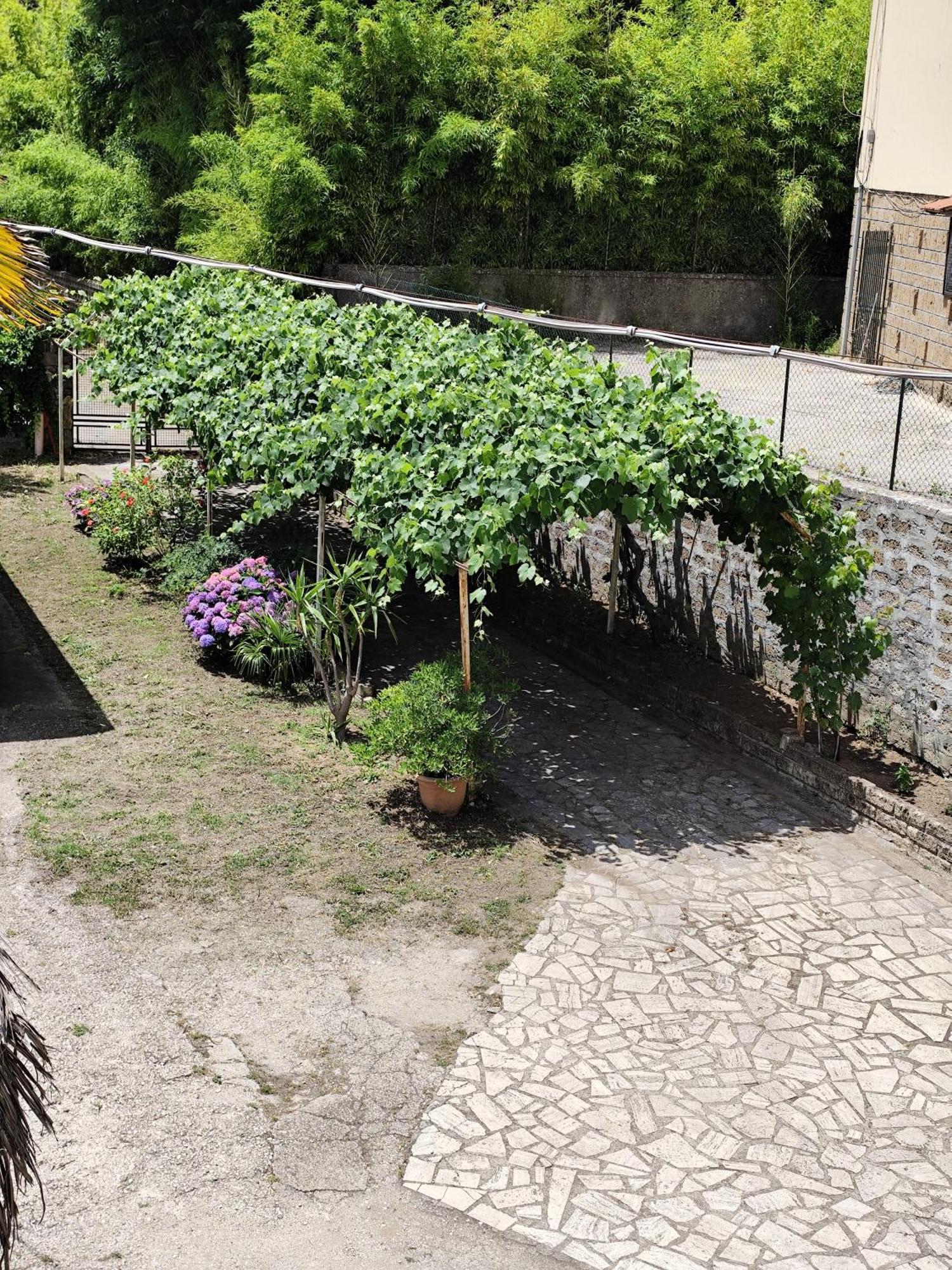 Appartement La Casina Di Karol à Ronciglione  Extérieur photo